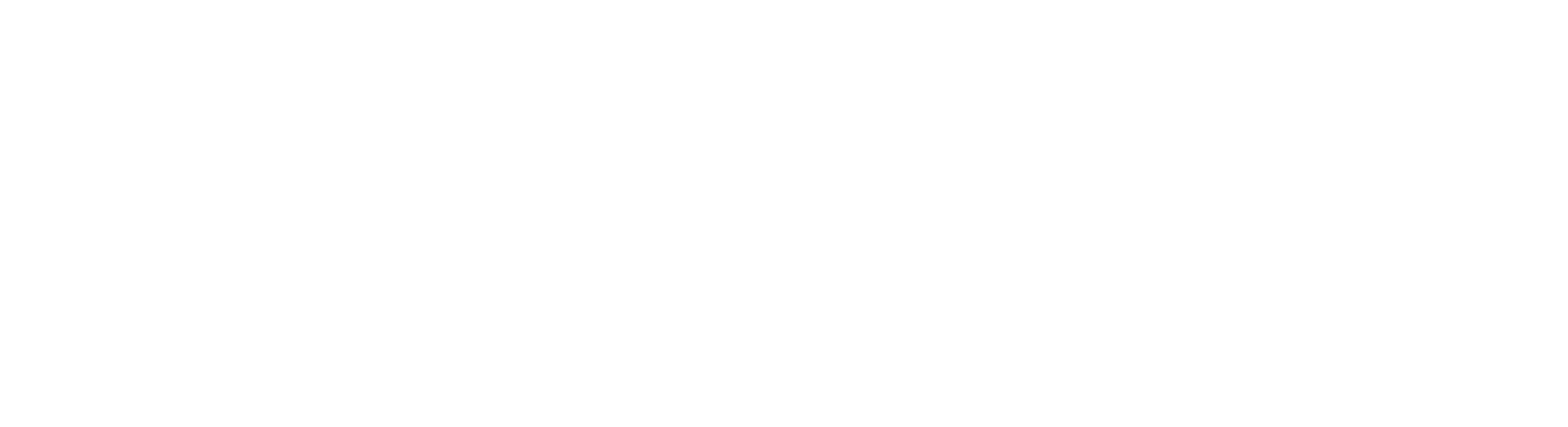 Usaflex